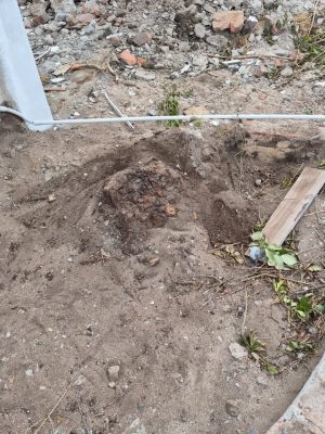 2_AFTER_stump-removed-hole_1000058302