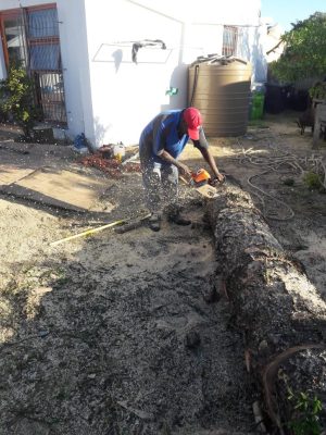 4_AFTER_log-being-cut_82788
